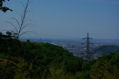 IMGP2907.JPG