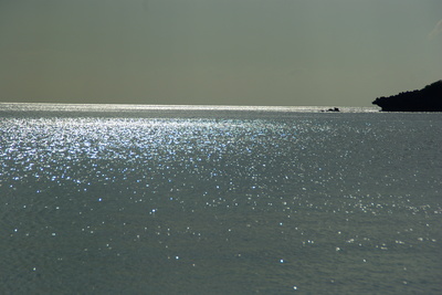 IMGP3335.JPG
